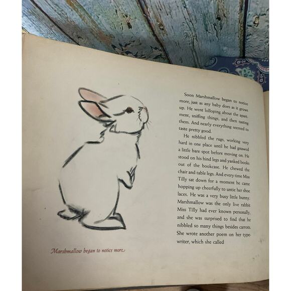 1942 “Marshmallow” By Clare Turlay Newberry - Picture 9 of 14